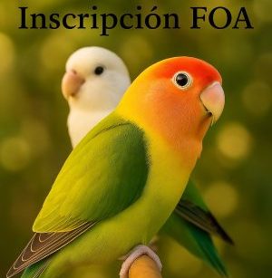 Inscripción FOA